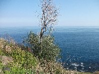 Acque_Grandi - Acque_grandi_20100124 012.jpg